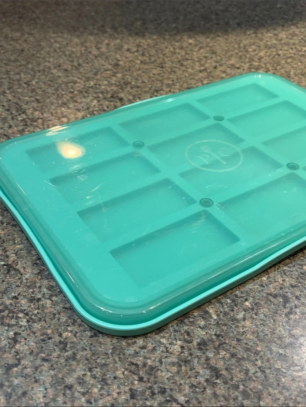 Pampered Chef Teal Silicone Freezer Tray with Lid